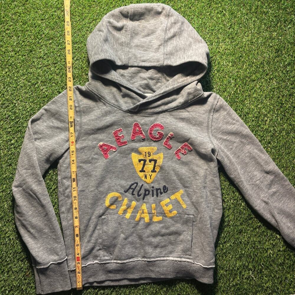American Eagle Alpine Chalet Graphic Hoodie Gray Mens L Pullover